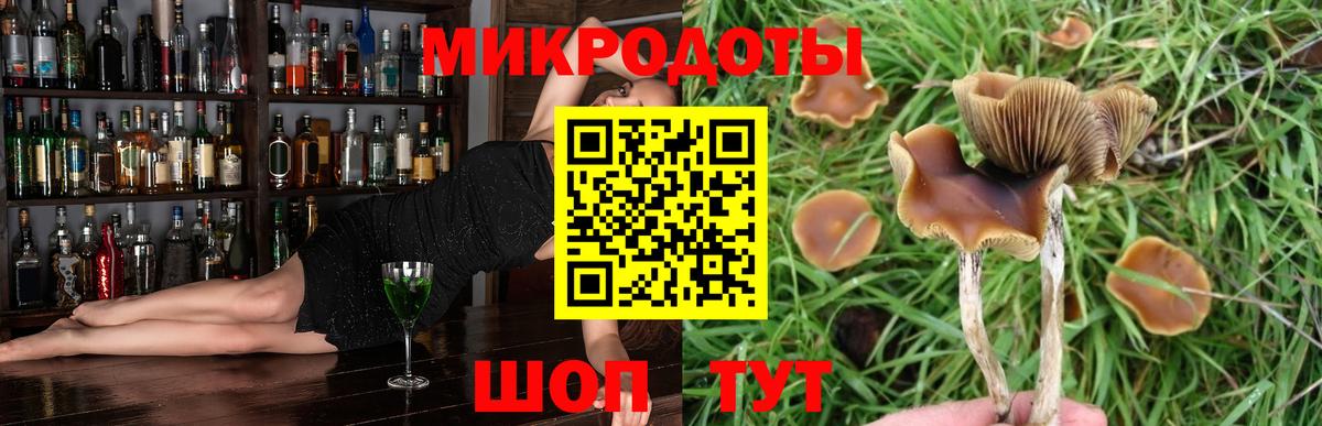 Псилоцибиновые грибы мицелий Усолье-Сибирское