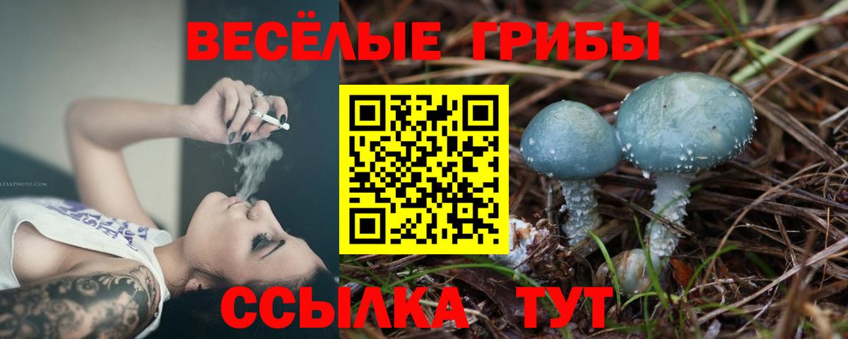 Псилоцибиновые грибы MAGIC MUSHROOMS  Вход с VPN  Усолье-Сибирское 